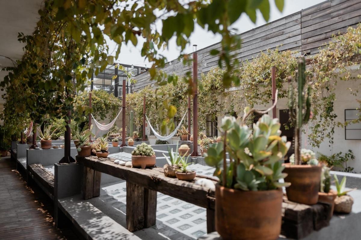 Casa Lomah Hotel 멕시코 시 외부 사진