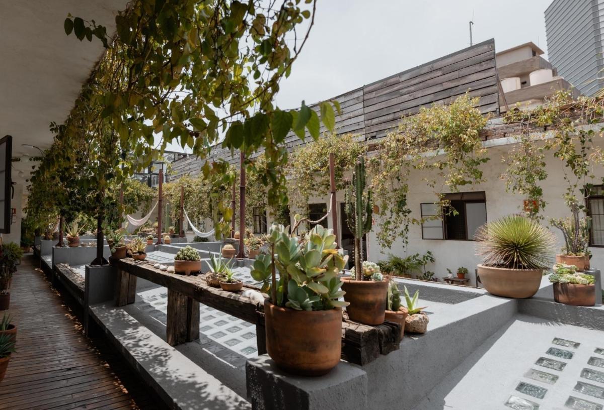 Casa Lomah Hotel 멕시코 시 외부 사진